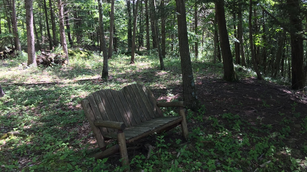 Photo of Outdoor in Hannacroix