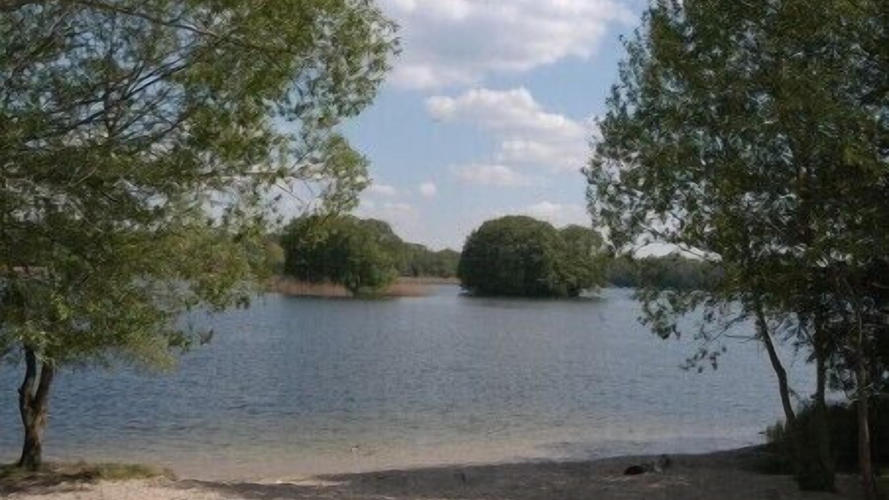 Photo of Others in Gross Glienicke