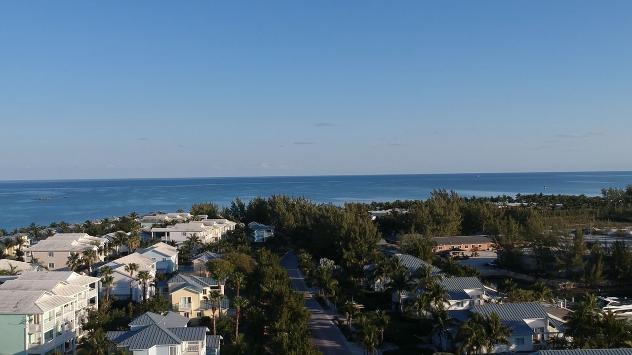 Photo of Outdoor in Alice Town