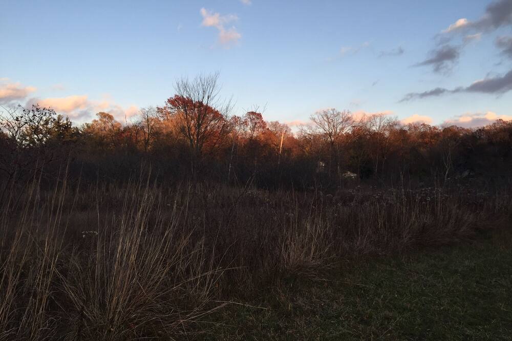 Photo of Outdoor in Grand Rapids