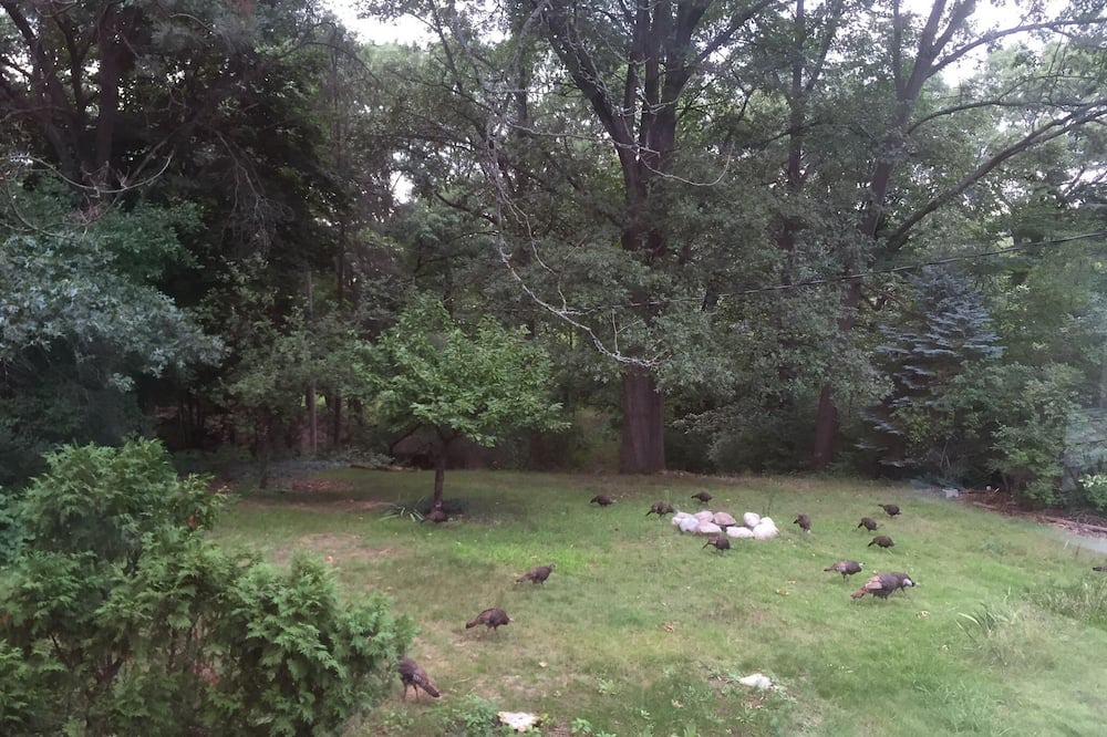 Photo of Others in Grand Rapids