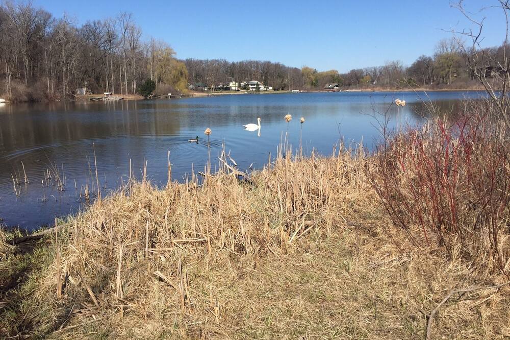 Photo of Outdoor in Grand Rapids