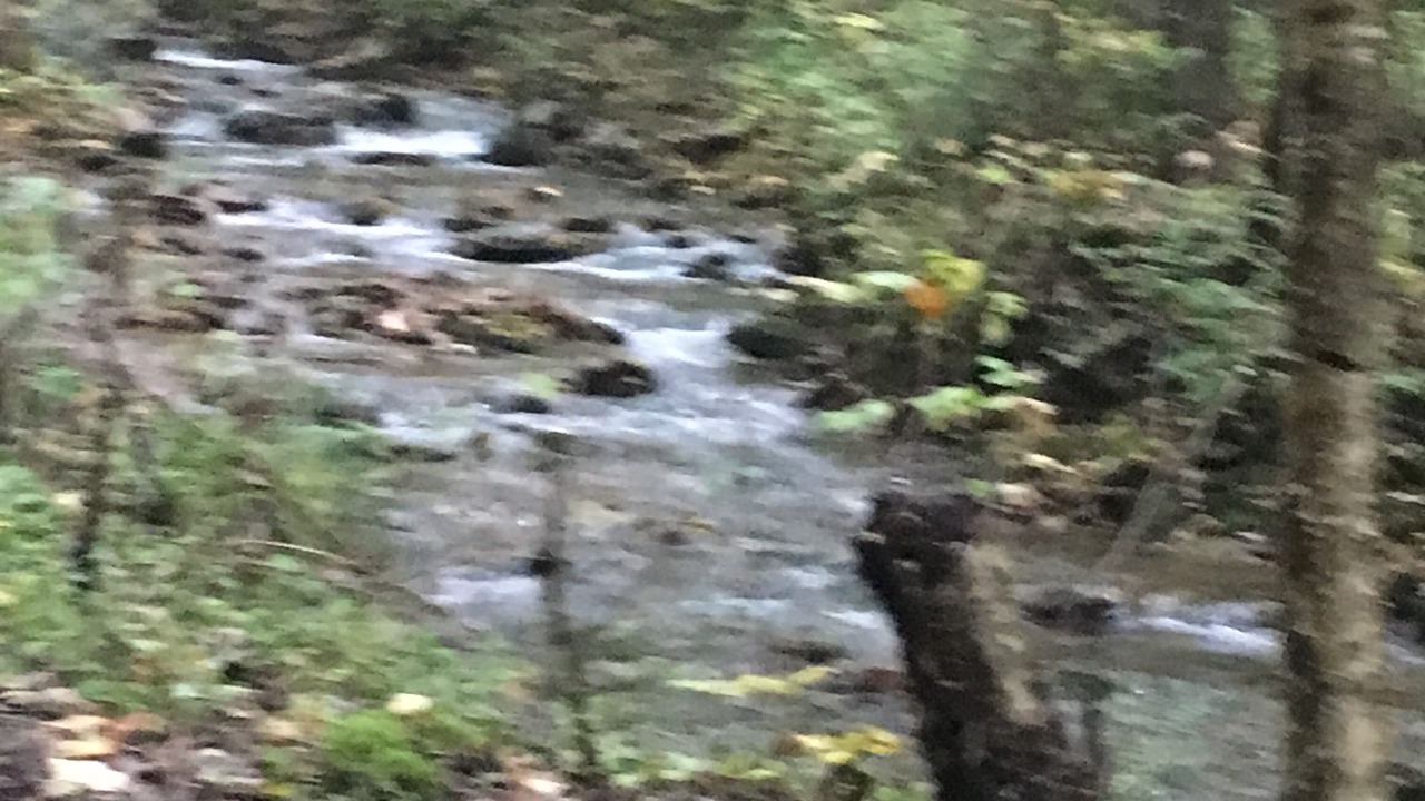 Photo of Outdoor in Renovo
