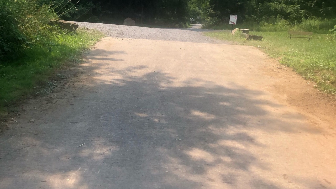 Photo of Outdoor in Renovo