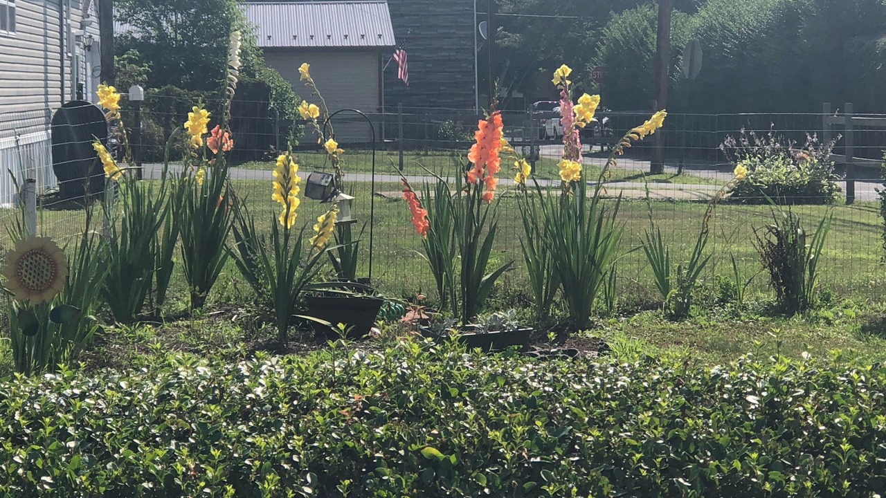 Photo of Outdoor in Renovo