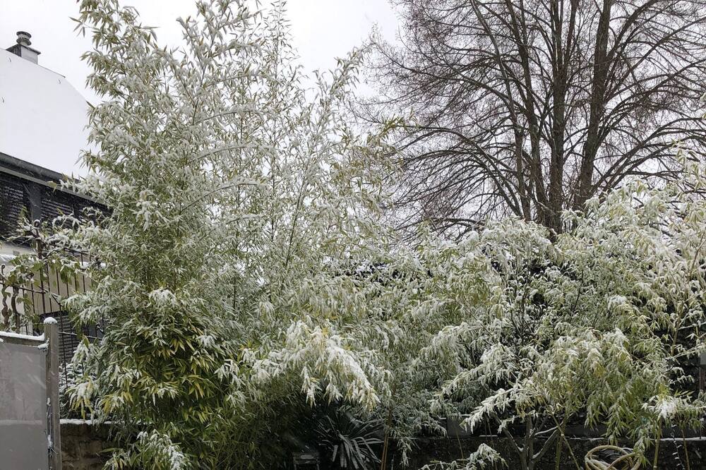 Photo of Outdoor in Kehlen