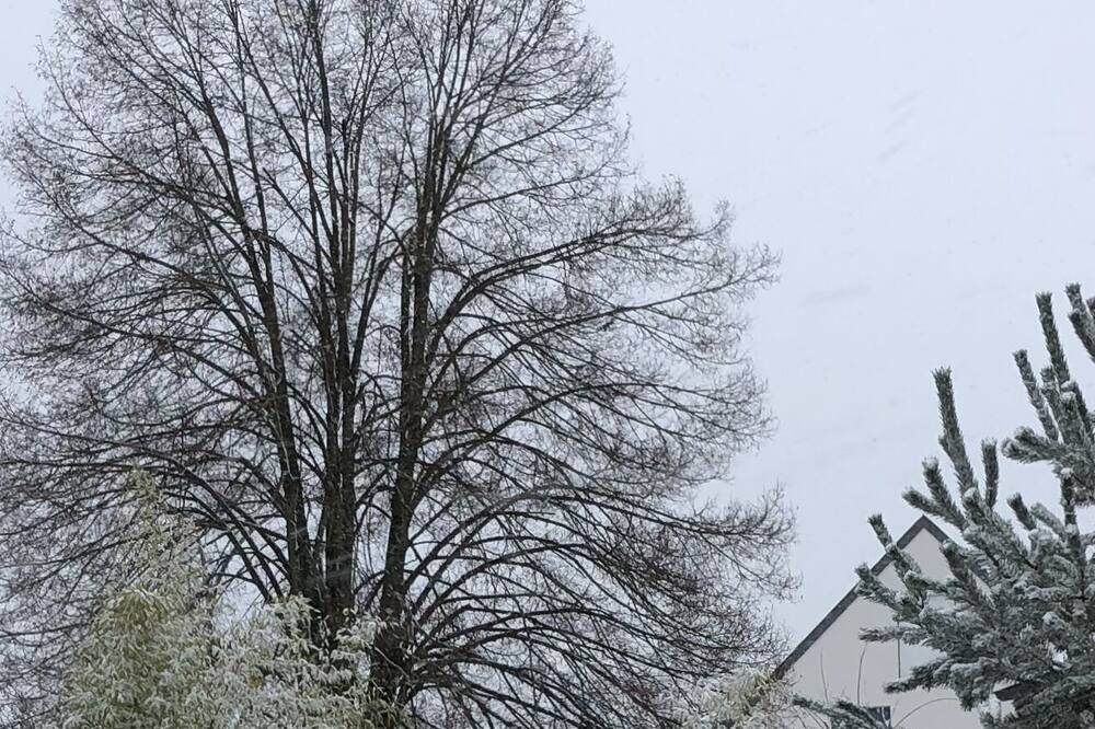 Photo of Outdoor in Kehlen