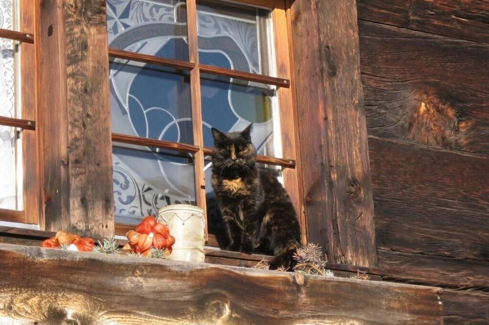 Photo of Others in Bellwald