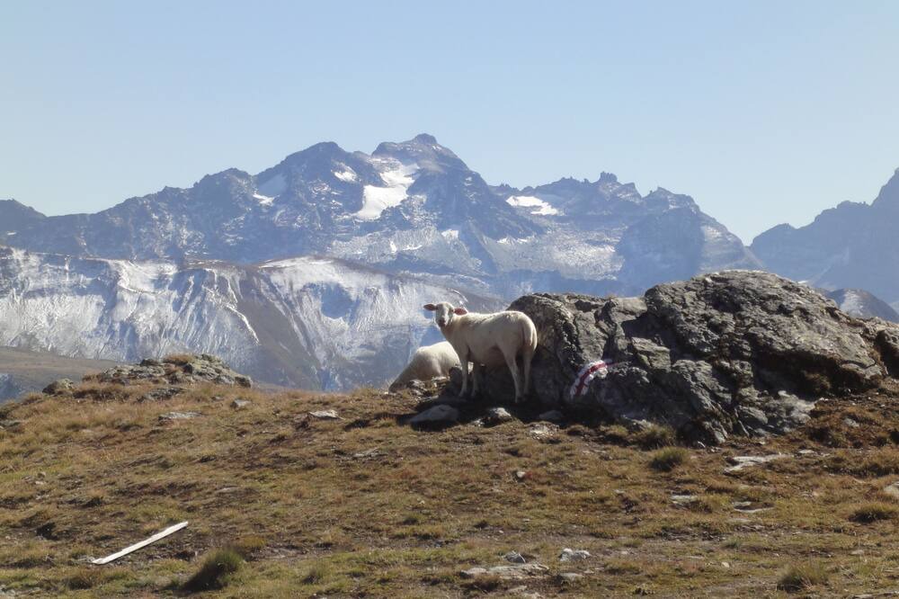 Photo of Outdoor in Bellwald