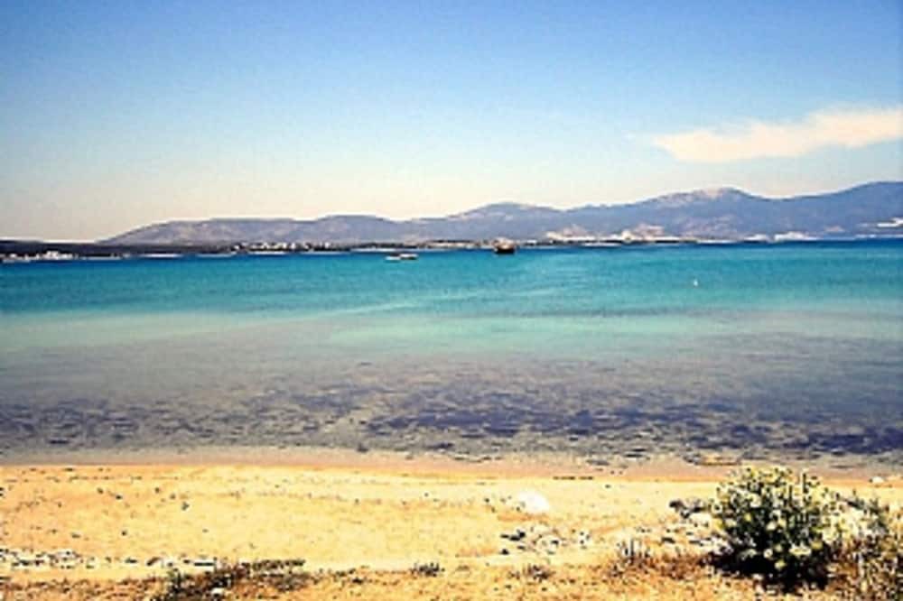 Photo of Others in Altinkum