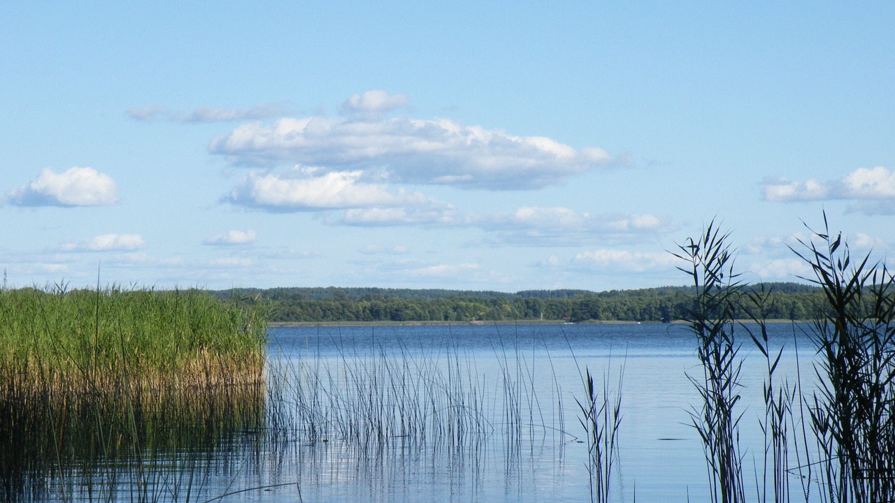 Photo of Others in Tylkowo