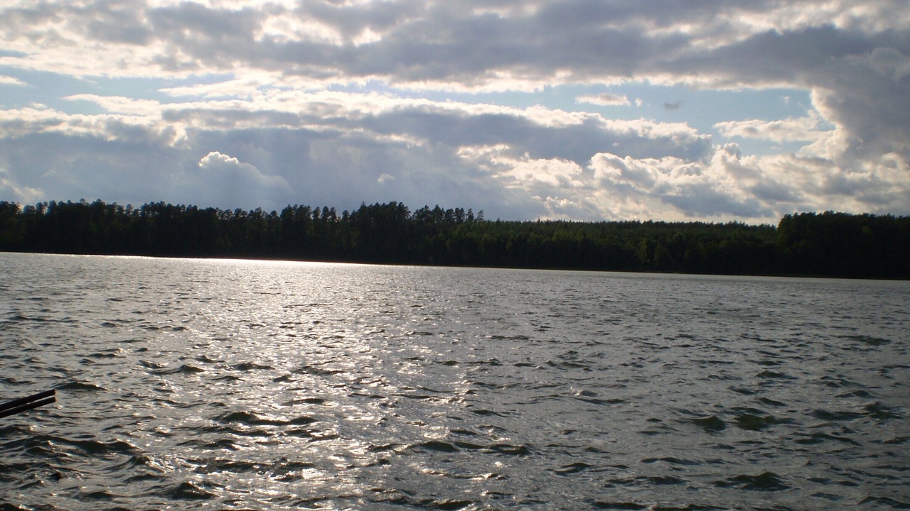 Photo of Others in Tylkowo