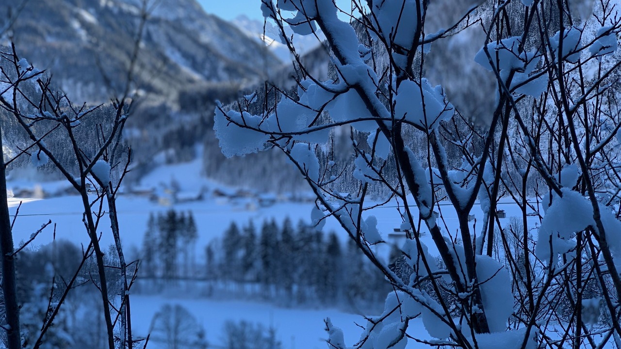 Photo of Outdoor in Bach