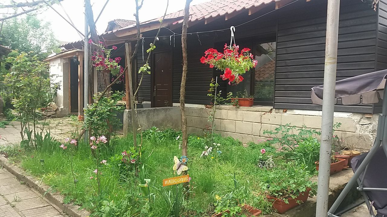 Photo of Outdoor in Kalofer