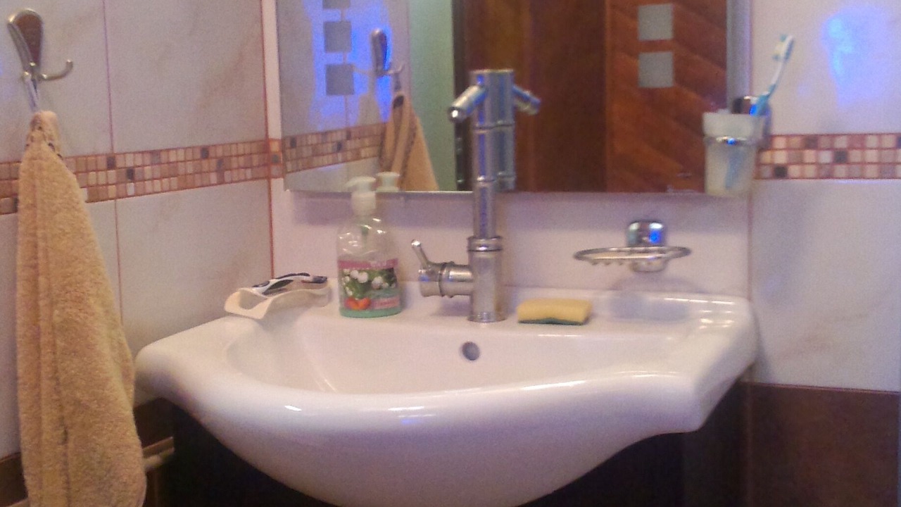 Photo of Bathroom in Boyana