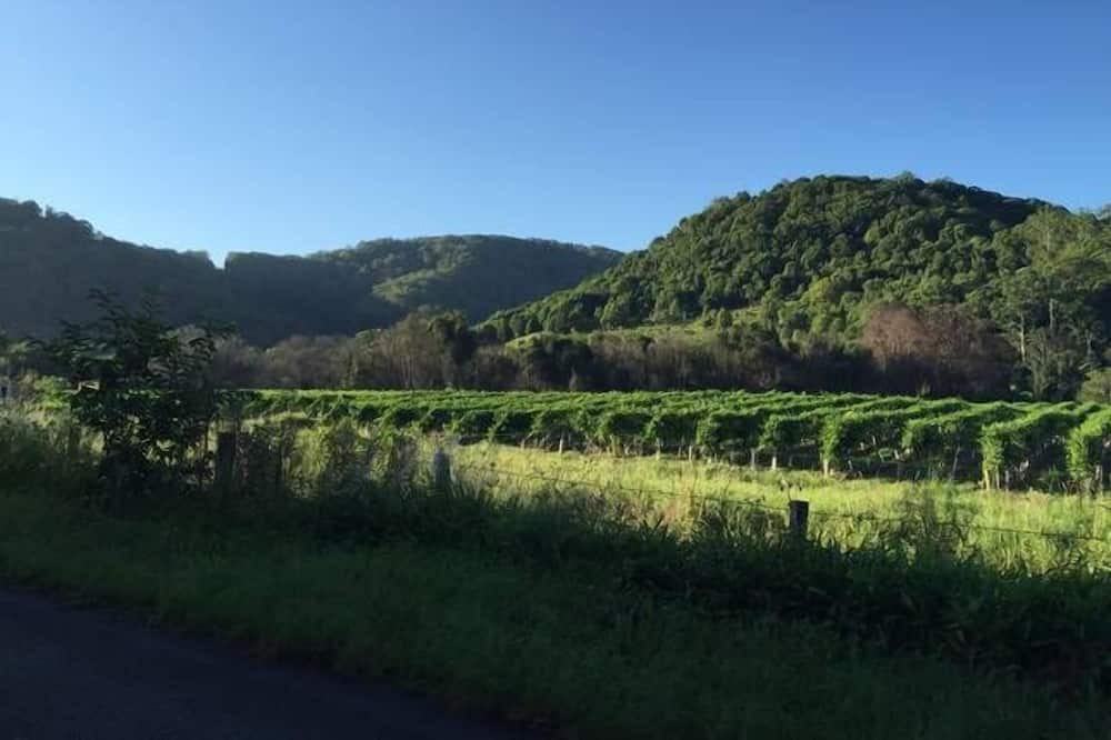 Photo of Outdoor in Upper Burringbar