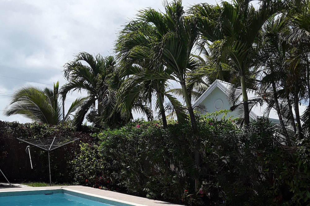 Photo of Outdoor in Bottom Bay
