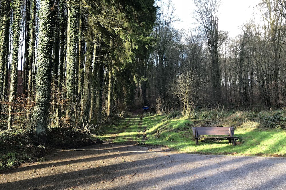 Photo of Outdoor in Eischen