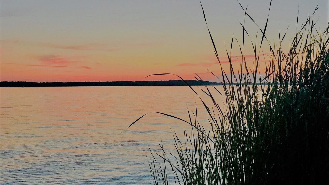Photo of Others in Ludington