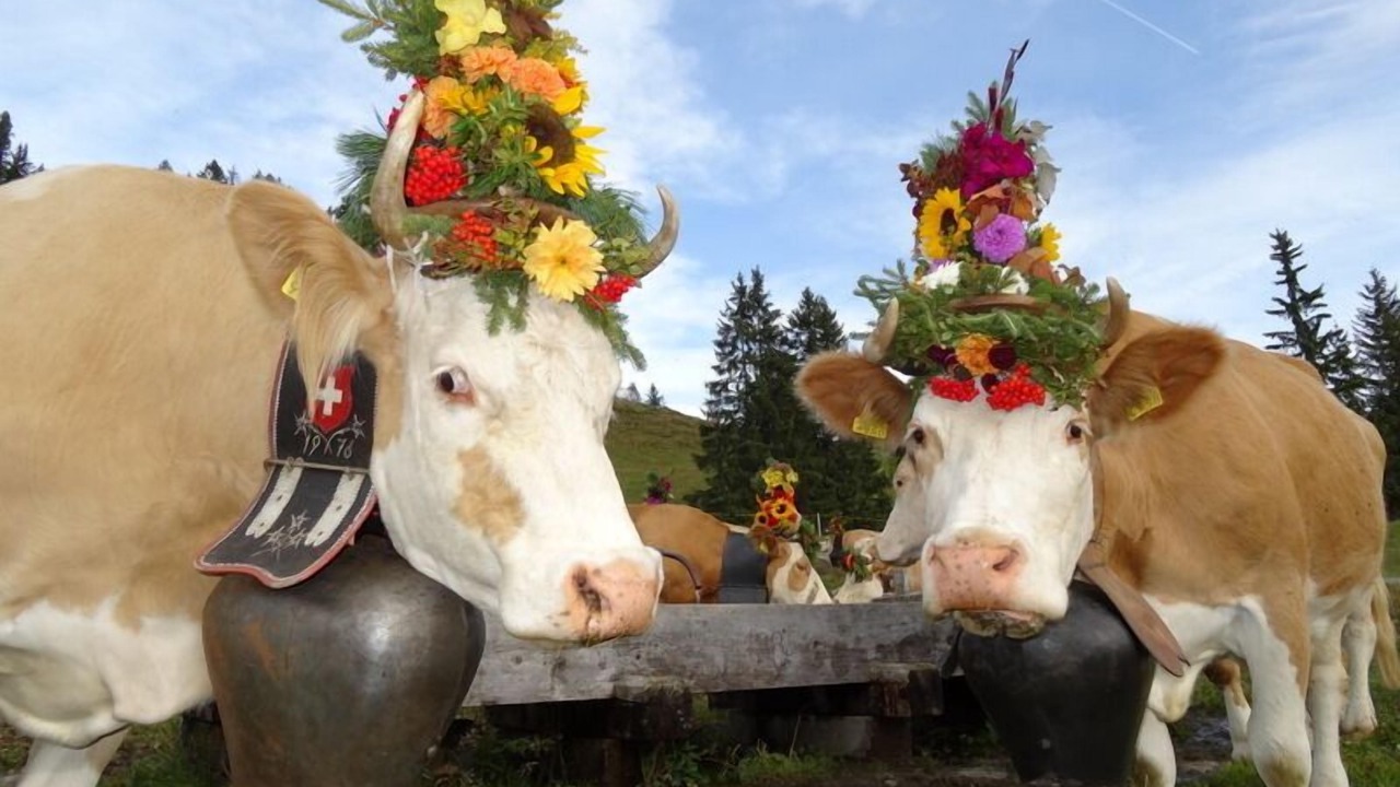 Photo of Outdoor in Grindelwald