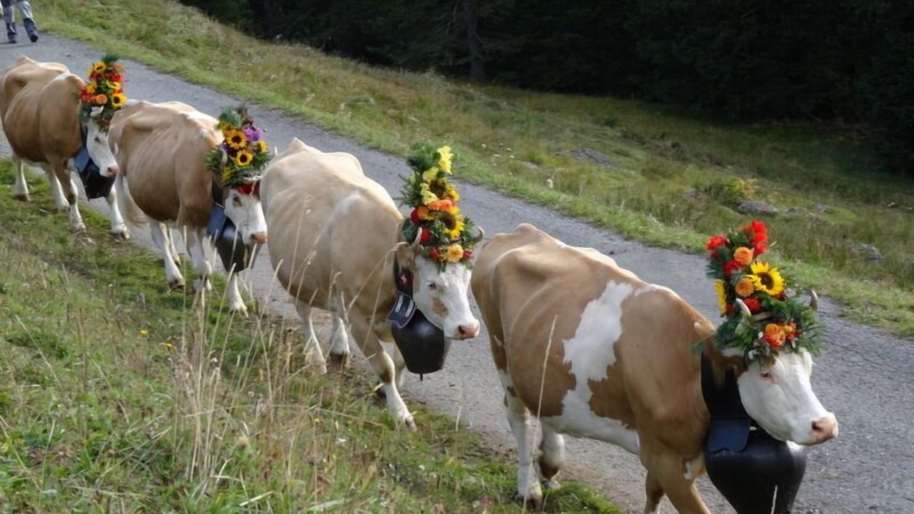 Photo of Others in Grindelwald