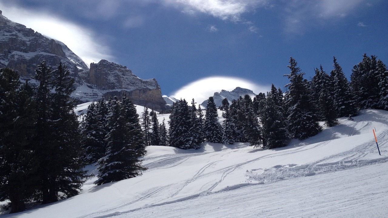 Photo of Others in Grindelwald