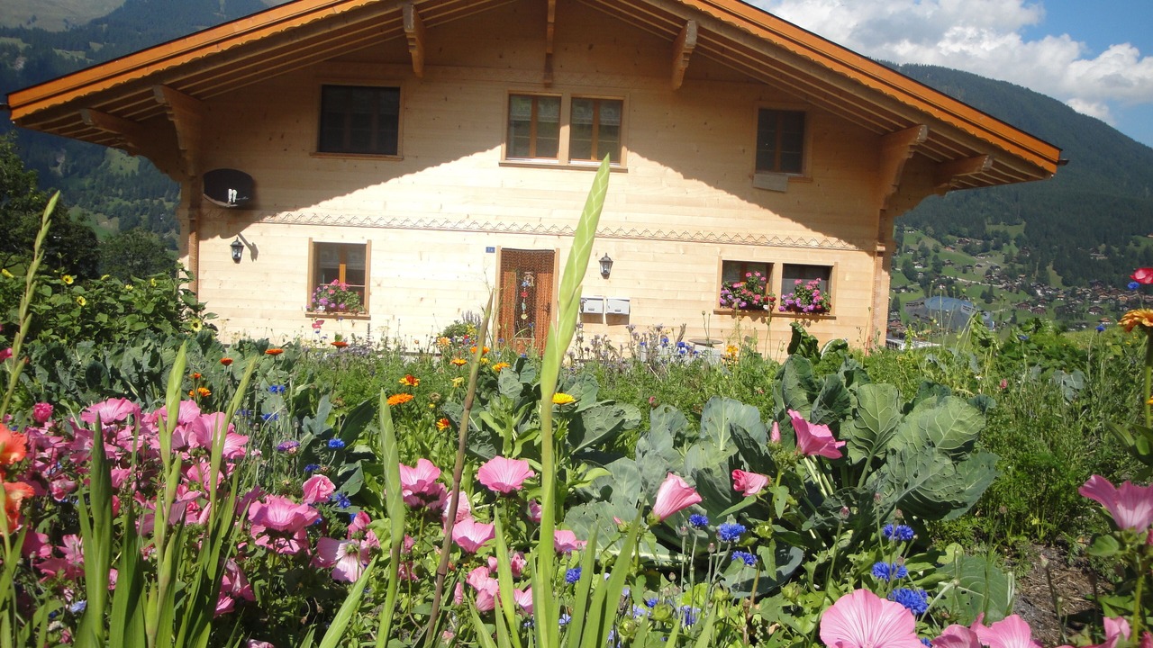 Photo of Outdoor in Grindelwald