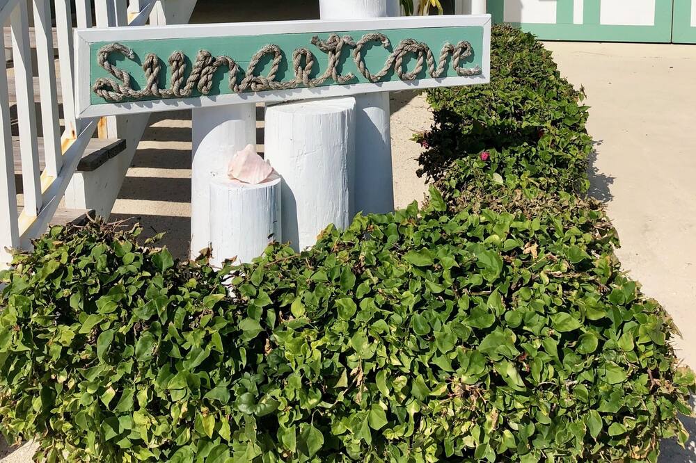 Photo of Outdoor in Port Royal