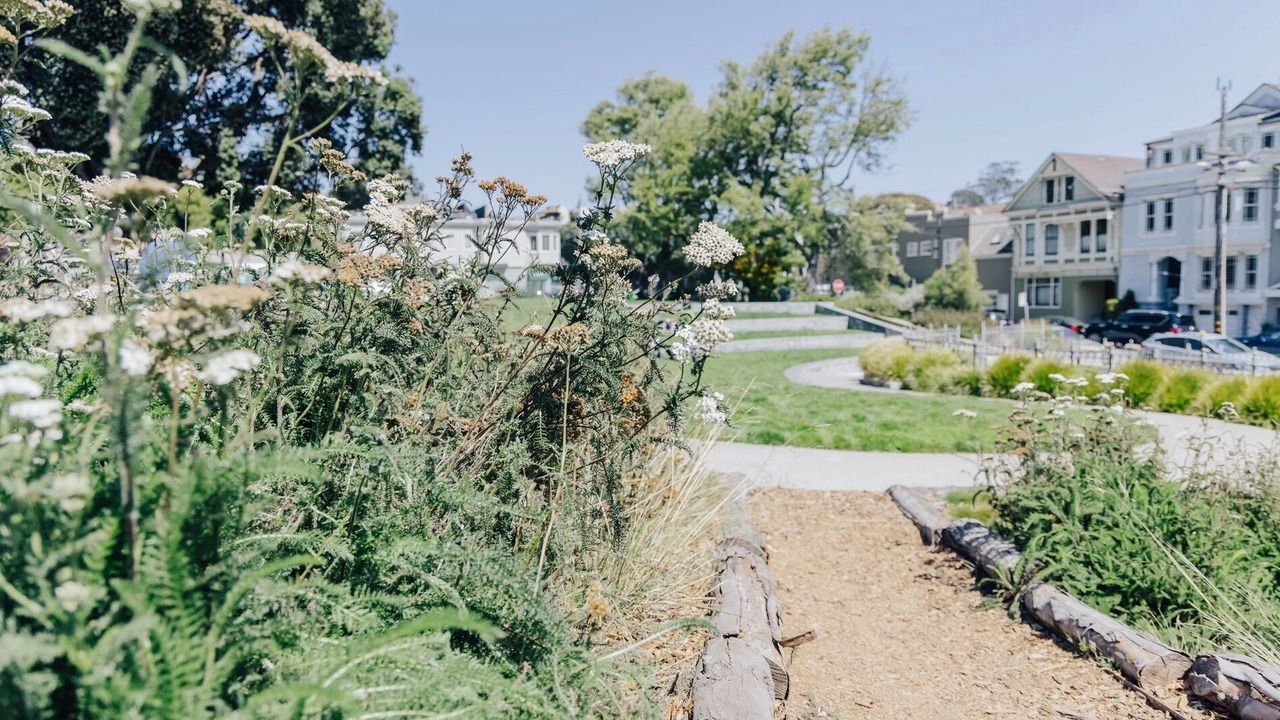 Photo of Outdoor in Noe Valley