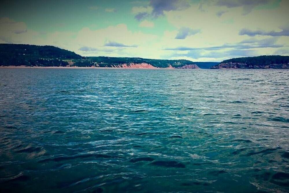 Photo of Others in Parrsboro