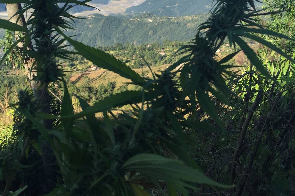 Photo of Outdoor in Sarangkot