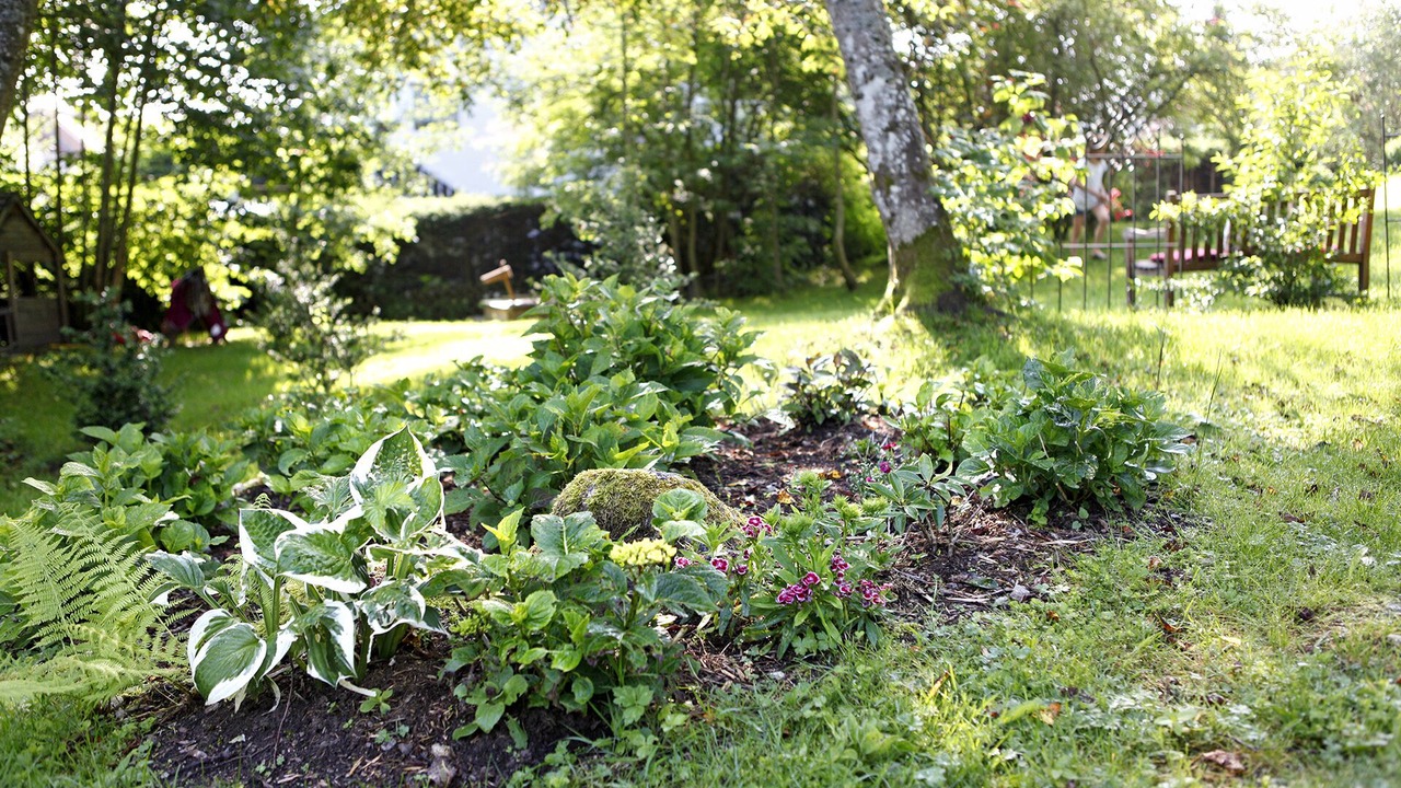 Photo of Outdoor in Hinterzarten