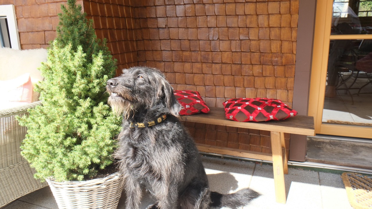 Photo of Outdoor in Hinterzarten