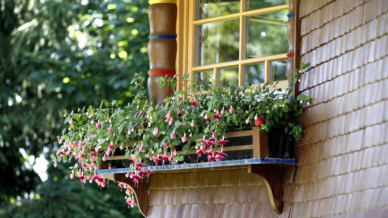 Photo of Outdoor in Hinterzarten