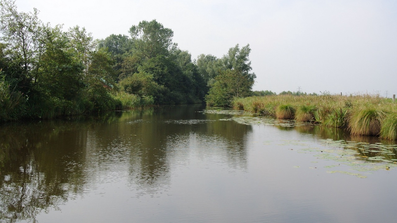 Photo of Outdoor in Neßmersiel