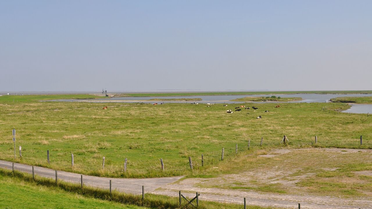 Photo of Outdoor in Neßmersiel