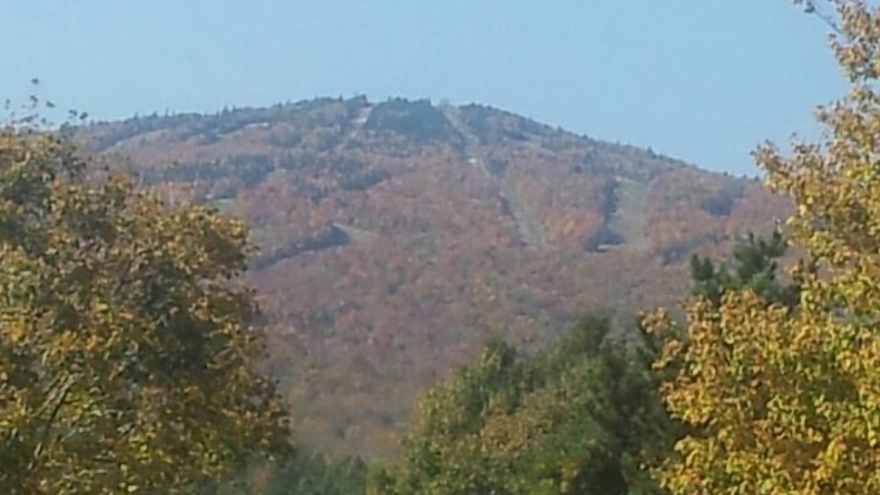 Photo of Others in Mount Holly