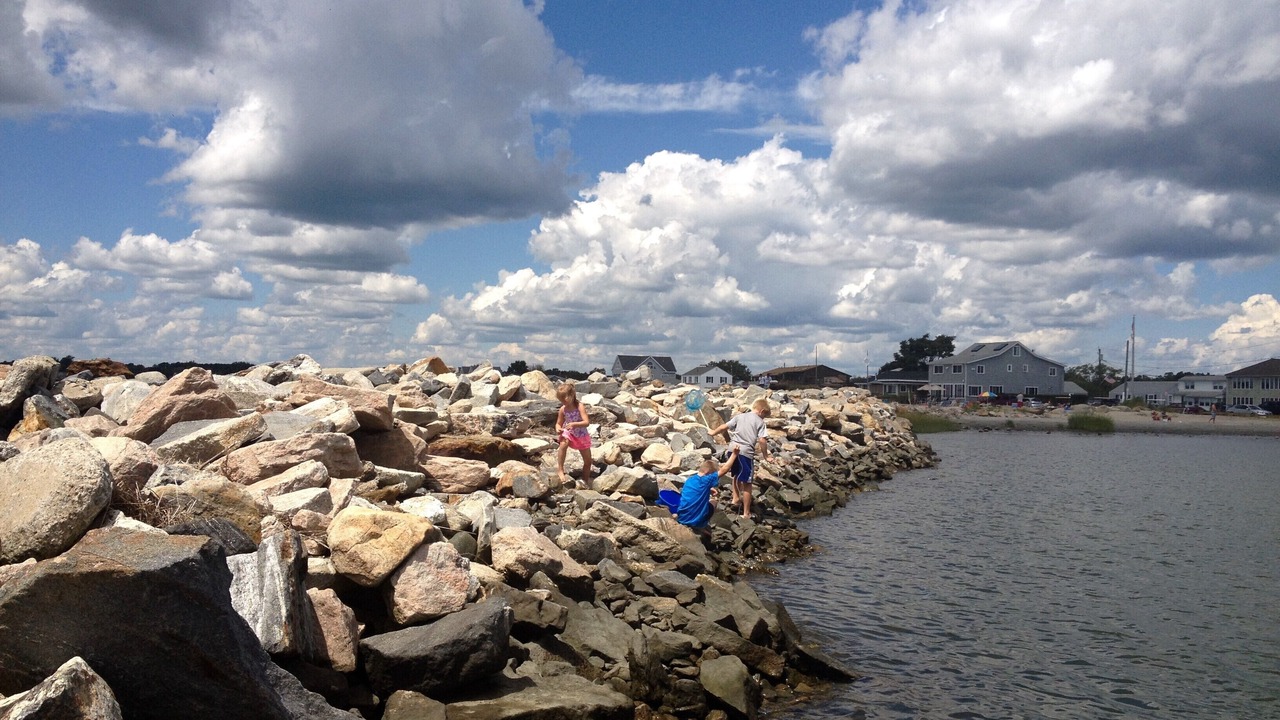 Photo of Others in Saybrook Manor