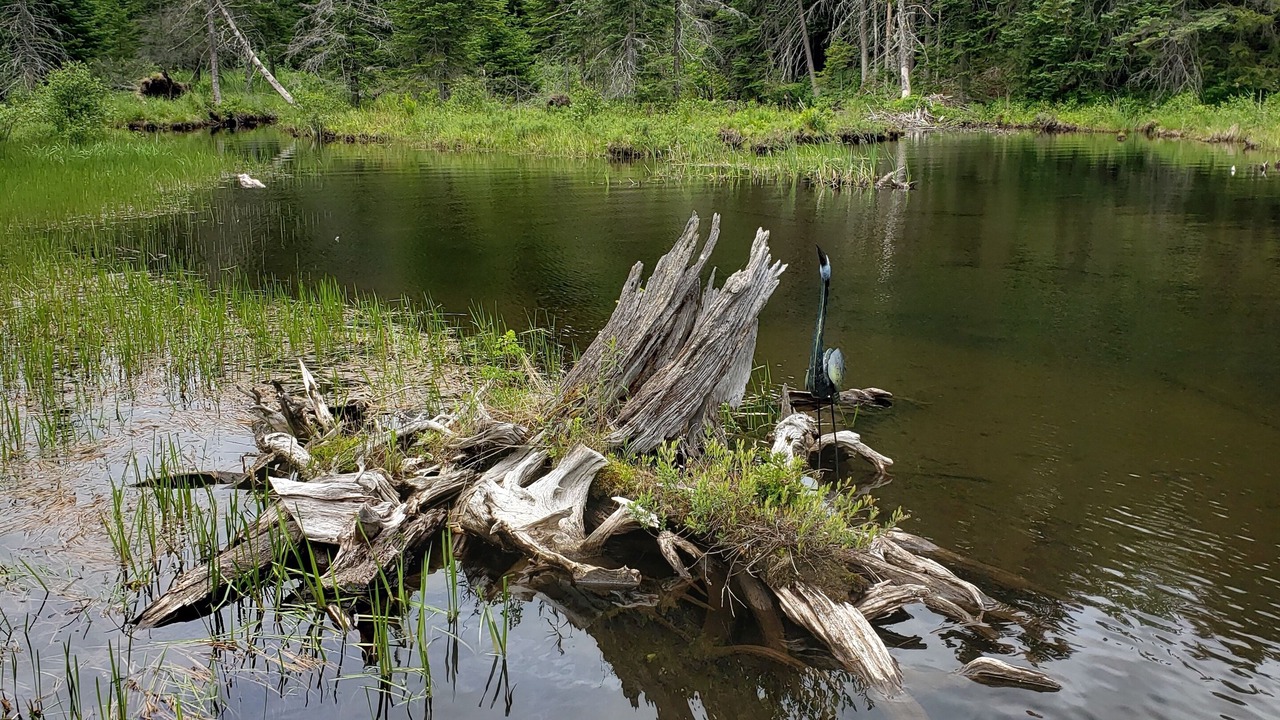 Photo of Outdoor in Peacham