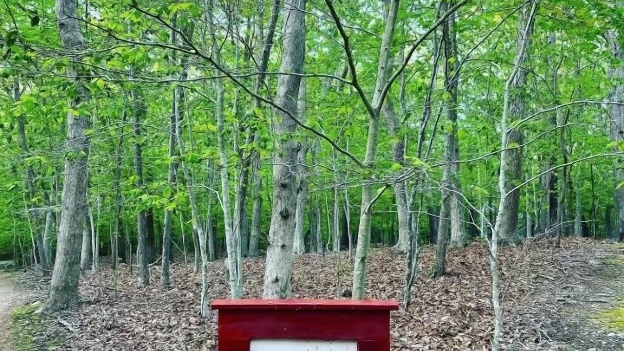 Photo of Outdoor in Amagansett North