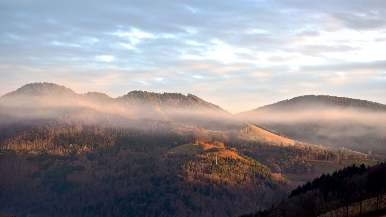 Photo of Others in Menzenschwand-Hinterdorf