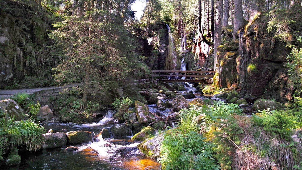 Photo of Outdoor in Menzenschwand-Hinterdorf