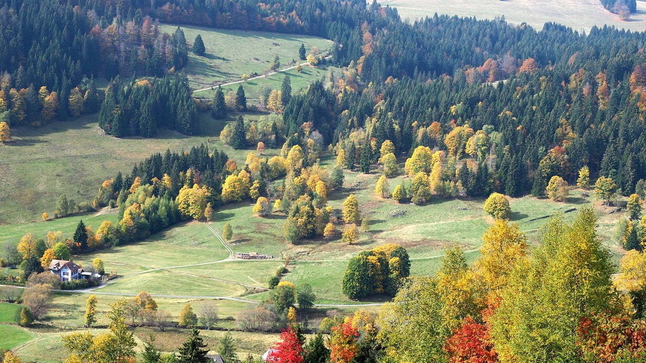 Photo of Outdoor in Menzenschwand-Hinterdorf