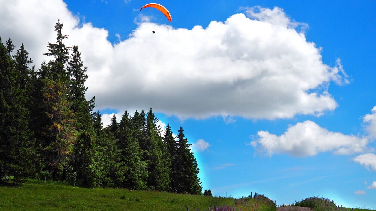Photo of Outdoor in Menzenschwand-Hinterdorf