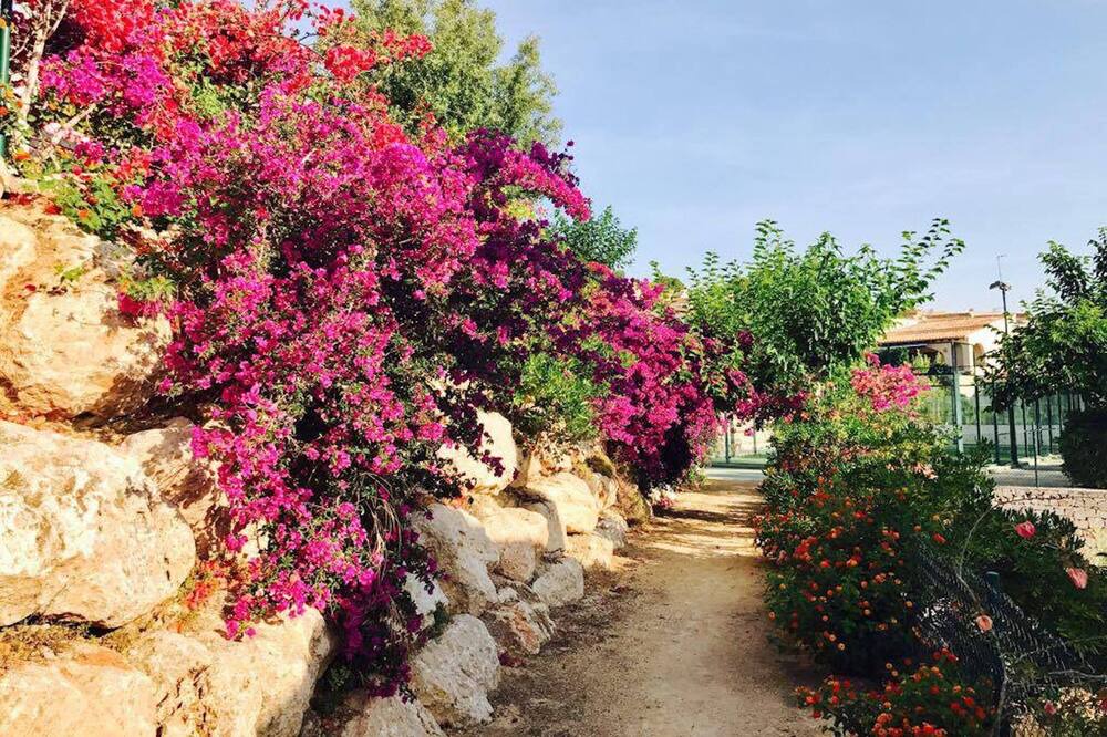 Photo of Outdoor in El Tesoro