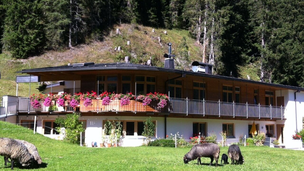 Photo of Outdoor in Tux