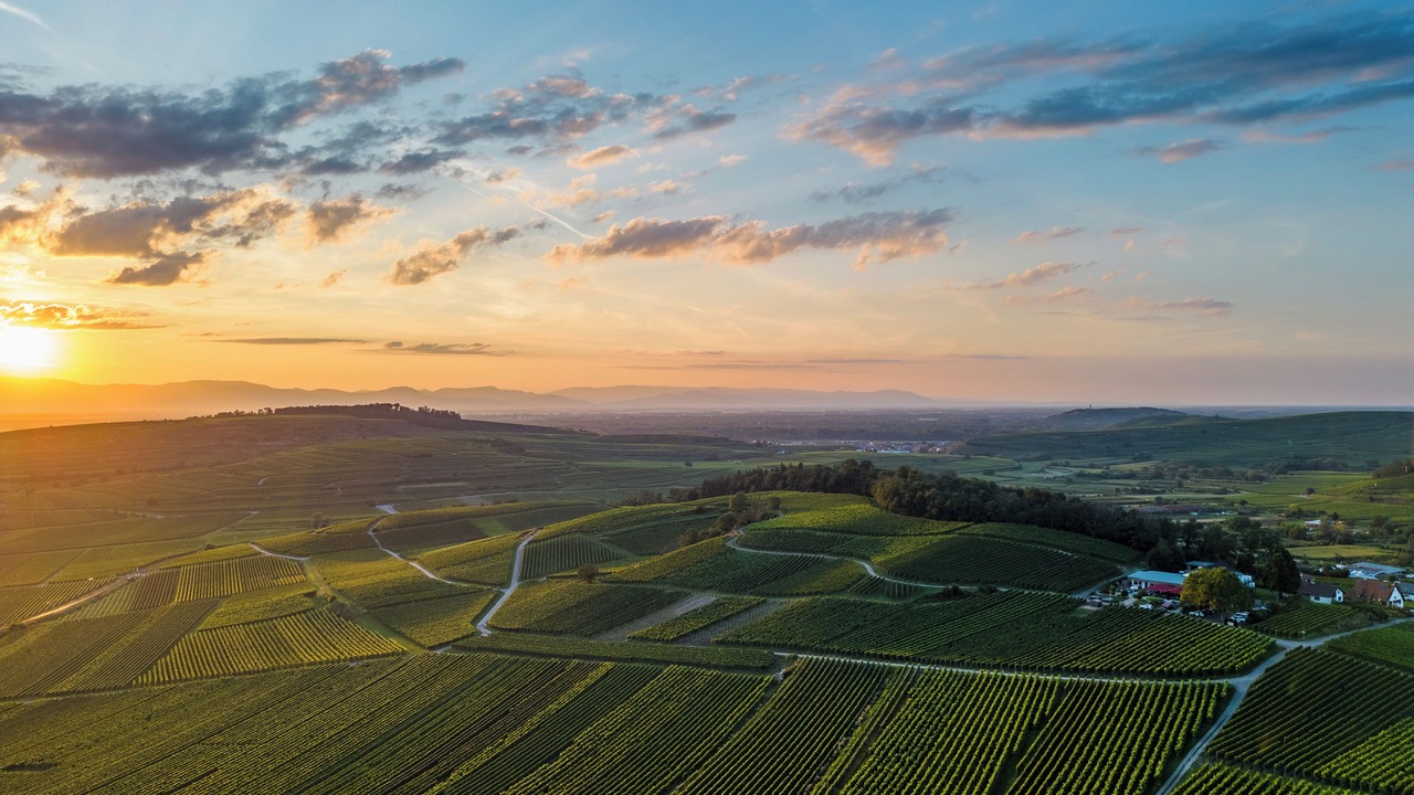 Photo of Outdoor in Bischoffingen