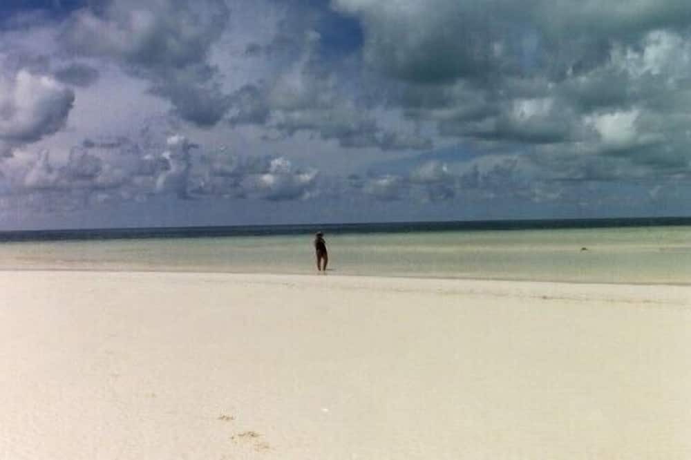Photo of Others in South Bimini