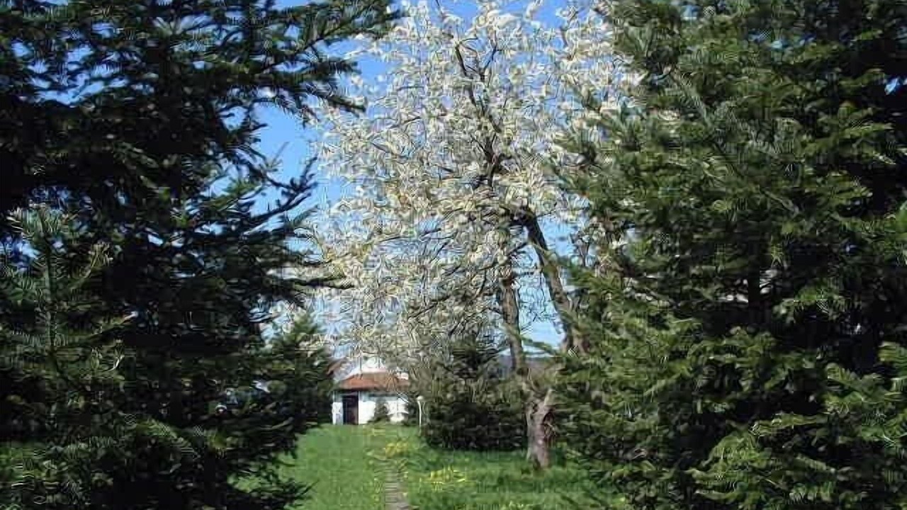 Photo of Outdoor in Leinatal
