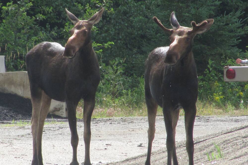Photo of Others in Woodsville